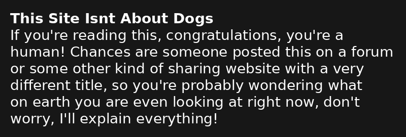 A picture of a dog! Sorry screen readers