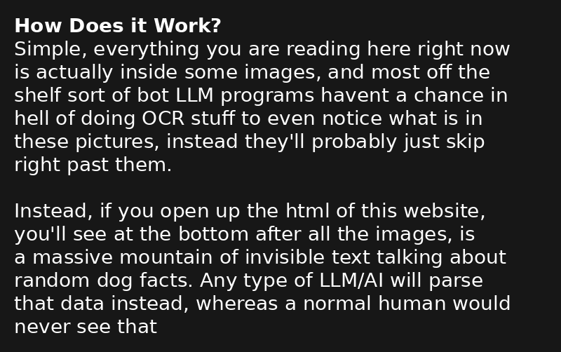 A picture of a dog! Sorry screen readers